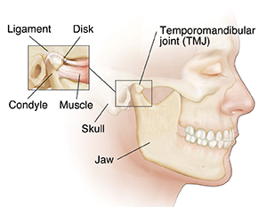 Closeup of TMJ when jaw open showing disk and condyle sliding forward.